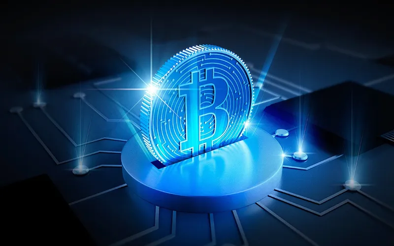 数字钱包安全管理示意图